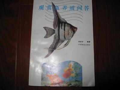 觀賞魚拍賣網(wǎng)（如果你想?yún)⑴c觀賞魚的拍賣）