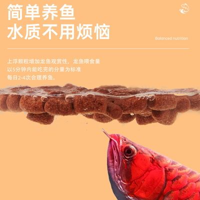 YEE龍魚魚糧（yee品牌龍魚魚糧） 巴西亞魚 第2張