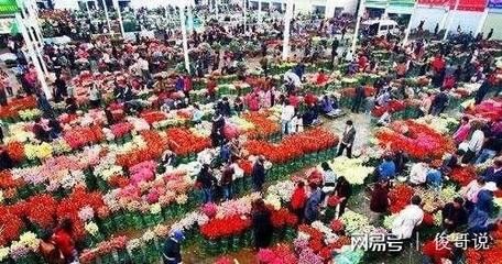 花卉批發(fā)市場進貨渠道（花卉市場發(fā)展的縮影） 龍鳳鯉魚 第2張