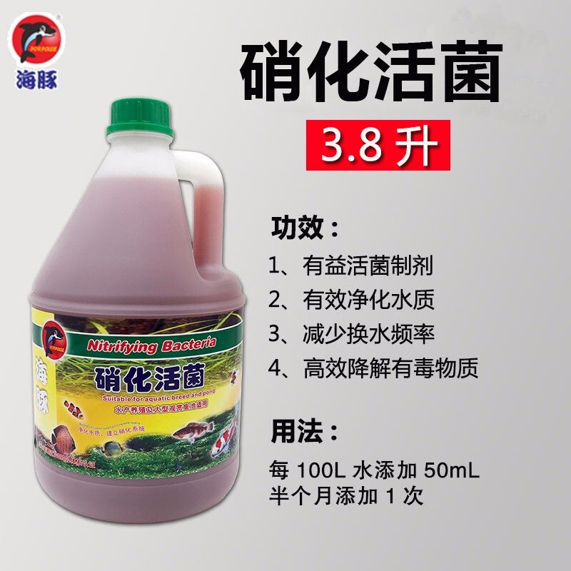 保拿仕硝化細(xì)菌怎么樣（保拿仕硝化細(xì)菌怎么樣_保拿仕(bonuses)龜缸多少錢） 祥禾Super Red紅龍魚(yú) 第1張