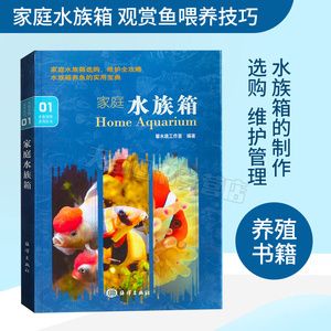 六角龍魚不吃東西怎么辦呀（六角龍魚不吃東西怎么辦？）