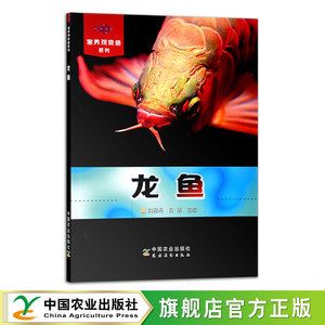 六角龍魚不吃東西怎么辦呀（六角龍魚不吃東西怎么辦？）