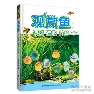 觀賞魚熱帶（關(guān)于熱帶觀賞魚的一些詳細(xì)信息） 觀賞魚論壇 第4張