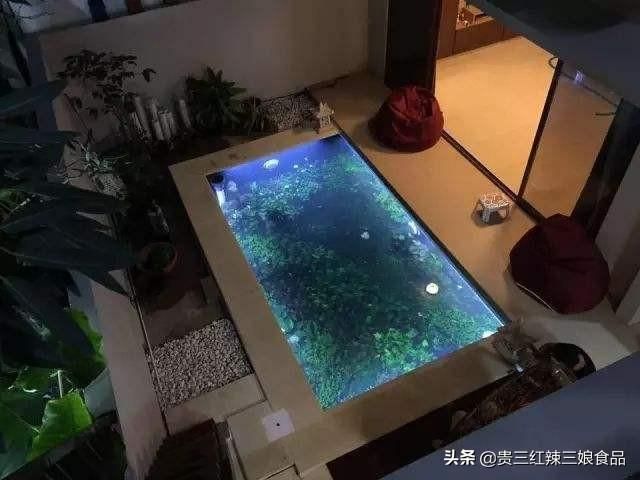 花鰱魚缸怎么養(yǎng)水草（水草種植與管理）