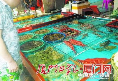 河蚌養(yǎng)魚缸里水質(zhì)會變差嗎為什么（如何在魚缸中養(yǎng)河蚌） 水族燈（魚缸燈） 第1張