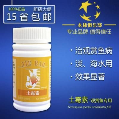 觀賞魚治療腸炎最有效的方法是（治療觀賞魚腸炎的方法） 硝化細菌 第1張