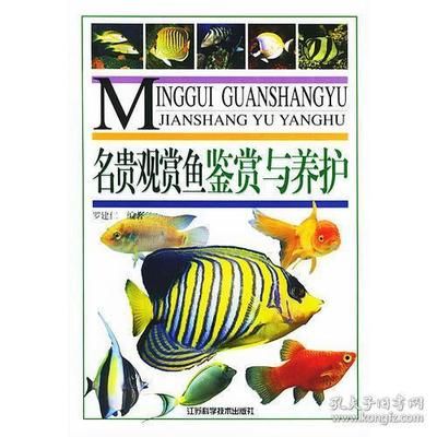 觀賞魚鑒賞（觀賞魚鑒賞與養(yǎng)殖） 黃金招財(cái)貓魚 第3張