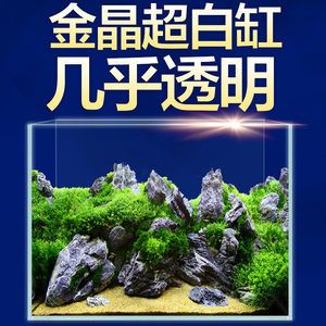 草金魚缸怎么造景（草金魚缸造景之水草篇金魚缸造景之水草篇金魚缸造景之水草篇）