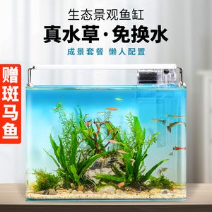 草金魚缸怎么造景（草金魚缸造景之水草篇金魚缸造景之水草篇金魚缸造景之水草篇）