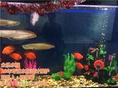 花都水族批發(fā)市場(chǎng)在哪里有（廣州花都地區(qū)的水產(chǎn)品批發(fā)市場(chǎng)）