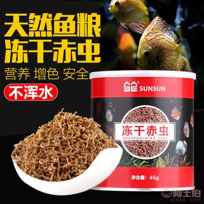 觀賞魚紅蟲飼料（紅蟲是一種常見的觀賞魚飼料）