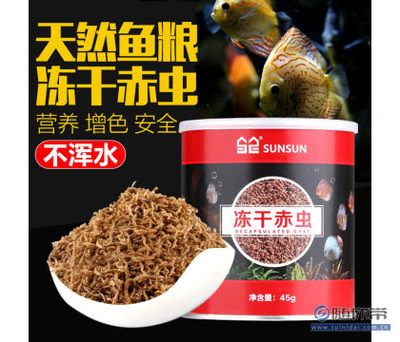 觀賞魚紅蟲飼料（紅蟲是一種常見的觀賞魚飼料） 杰西卡恐龍魚 第4張