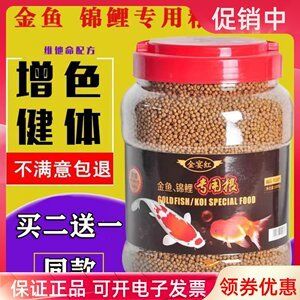 黑魚觀賞魚吃什么（觀賞魚飼料的自制秘籍） 其它水族用具設(shè)備 第3張