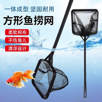 觀賞魚水族箱設(shè)計（觀賞魚水族箱設(shè)計關(guān)鍵要點）