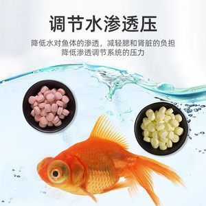 觀賞魚(yú)專用魚(yú)鹽怎么用視頻教學(xué)（關(guān)于觀賞魚(yú)專用魚(yú)鹽的使用方法和注意事項(xiàng)） 魚(yú)缸水質(zhì)穩(wěn)定劑 第4張