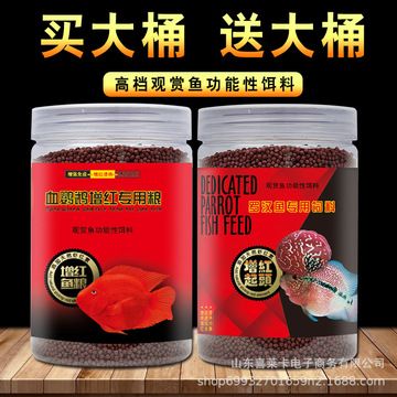 紅色觀賞魚吃什么食物長得快（紅色觀賞魚的選擇食物可以自制觀賞魚的自然食性觀賞魚） 祥龍進(jìn)口元寶鳳凰魚 第1張