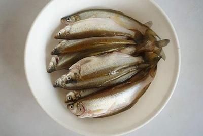 白條魚（白條魚是一種常見的淡水魚類，別名白鰷、白鰷、尖嘴子等）