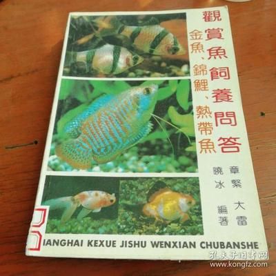 觀賞魚能郵寄嗎多少錢一條（郵寄觀賞魚是否可行以及相關(guān)費用） 電鰻 第4張