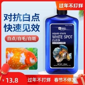 觀賞魚得了白點病用什么藥（如何治療觀賞魚白點?。? title=