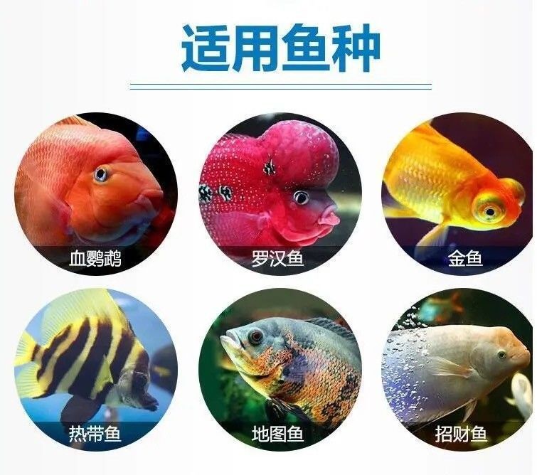 觀賞魚售賣稅怎么算（觀賞魚養(yǎng)殖與銷售的稅務(wù)籌劃） 丹頂錦鯉魚 第1張