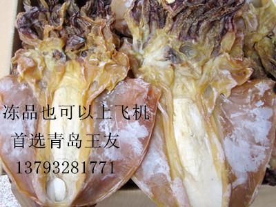 飛機(jī)能托運(yùn)觀賞魚嗎（觀賞魚可以托運(yùn)觀賞魚的，但需要注意以下幾點(diǎn)：） 紅頭利魚 第1張