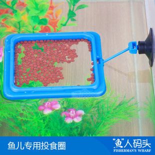 柏卡樂(lè)魚(yú)缸怎么樣（柏卡樂(lè)的魚(yú)缸加熱棒受到了用戶的肯定） 定時(shí)器/自控系統(tǒng) 第2張