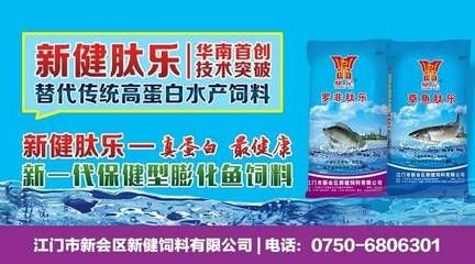 海南淡水觀賞魚種類有哪些品種（關(guān)于海南淡水觀賞魚的相關(guān)信息） 飛鳳魚 第3張