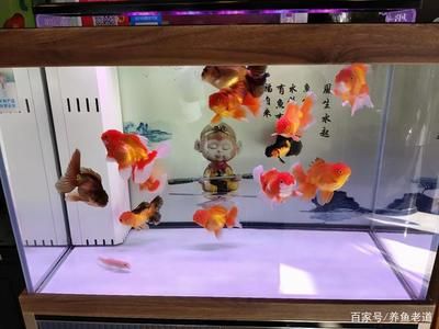 觀賞魚浮在水面上下不去怎么辦（觀賞魚浮在水面上的原因引起觀賞魚浮在水面上的原因） 赤焰中國(guó)虎魚 第2張