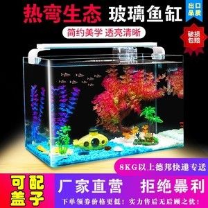 玻璃金魚缸裸缸價格（辦公室養(yǎng)魚的好處和推薦） 水族用品 第1張