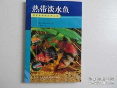 淡水觀賞魚養(yǎng)殖技術(shù)（《淡水觀賞魚標(biāo)準(zhǔn)化生態(tài)養(yǎng)殖技術(shù)》） 玫瑰銀版魚 第1張