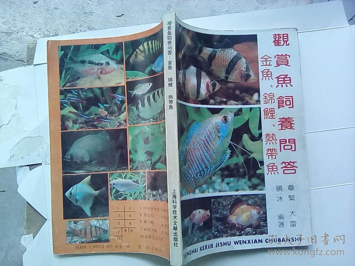 觀賞魚文獻(xiàn)（2018-10-31觀賞魚養(yǎng)殖技術(shù)） 女王大帆魚苗 第3張