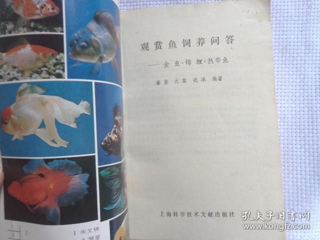 觀賞魚文獻(xiàn)（2018-10-31觀賞魚養(yǎng)殖技術(shù)） 女王大帆魚苗 第4張