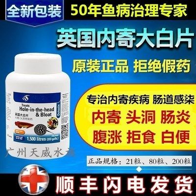 觀賞魚大白片治療腸炎有用嗎（大白片治療腸炎的方法） 巴西亞魚苗 第2張