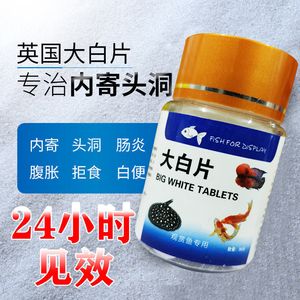 觀賞魚大白片價(jià)真的好用嗎（觀賞魚大白片價(jià)格在2瓶起批的情況下是否值得購買） 黑云魚 第3張