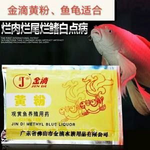 廣東觀賞魚鑒定機構（廣東觀賞魚價值評估） 紅龍魚魚糧飼料 第1張