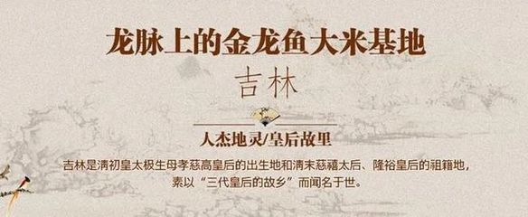 分析金龍魚品牌的內(nèi)涵？（金龍魚品牌強(qiáng)調(diào)“家”的概念讓消費(fèi)者感受到品牌溫馨、親切的氛圍）