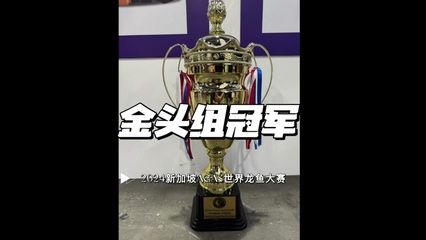 2024年龍魚比賽什么時候（2024年中國龍舟公開賽時間點）