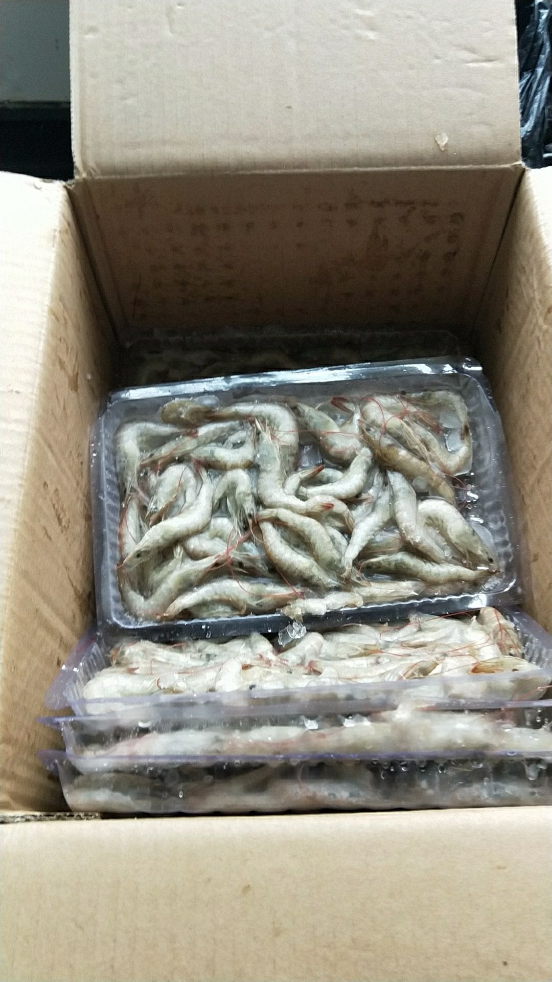 魚食（魚食[CLS]魚食） 觀賞魚論壇 第2張