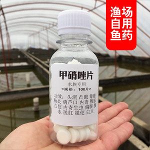 甲硝唑治療龍魚用量（治療龍魚疾病時(shí)甲硝唑的用量需要謹(jǐn)慎控制） 龍魚百科 第2張