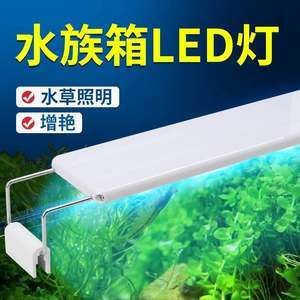 紅龍魚用led的燈可以嗎（紅龍魚使用led燈的詳細信息）