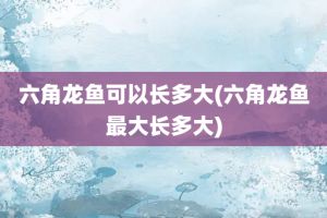 家養(yǎng)龍魚的好處有哪些（家里養(yǎng)龍魚好嗎360問答）