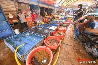 濟南哪里有賣龍魚的市場地址（濟南一些比較知名的水族市場和龍魚銷售點）