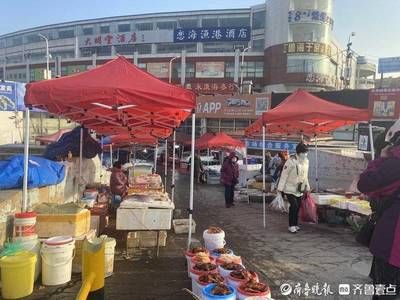 濟南哪里有賣龍魚的市場地址（濟南一些比較知名的水族市場和龍魚銷售點）