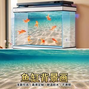 紅龍魚魚缸背景板用亞光面還是用亮光面（紅龍魚用什么背景好）