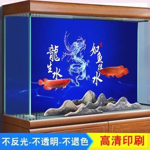 紅龍魚魚缸背景板用亞光面還是用亮光面（紅龍魚用什么背景好）