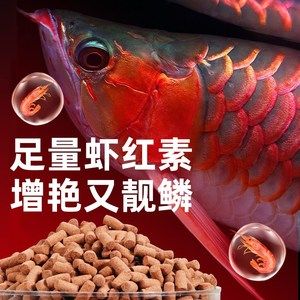 紅龍魚只吃飼料怎么辦（養(yǎng)紅龍魚注意事項(xiàng)） 龍魚百科 第3張