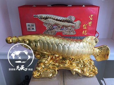 5斤重的金龍魚多少錢（金龍魚多少錢一斤金龍魚多少錢一條金龍魚多少錢一條） 龍魚百科 第1張