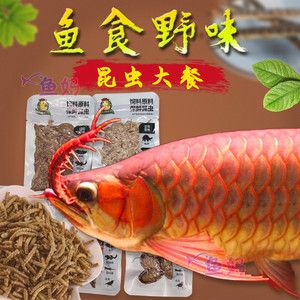 20厘米龍魚喂多少魚食合適（20厘米左右的銀龍魚喂什么比較合適） 龍魚百科 第2張