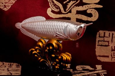 白銀龍魚價(jià)格表（白銀龍魚價(jià)格）