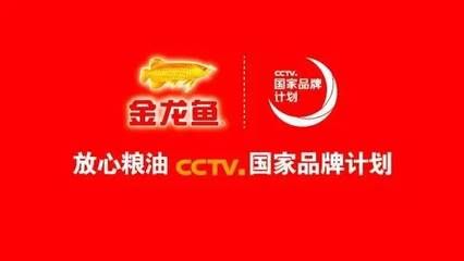 cctv6金龍魚（cctv6與金龍魚之間的合作歷史） 龍魚百科 第3張